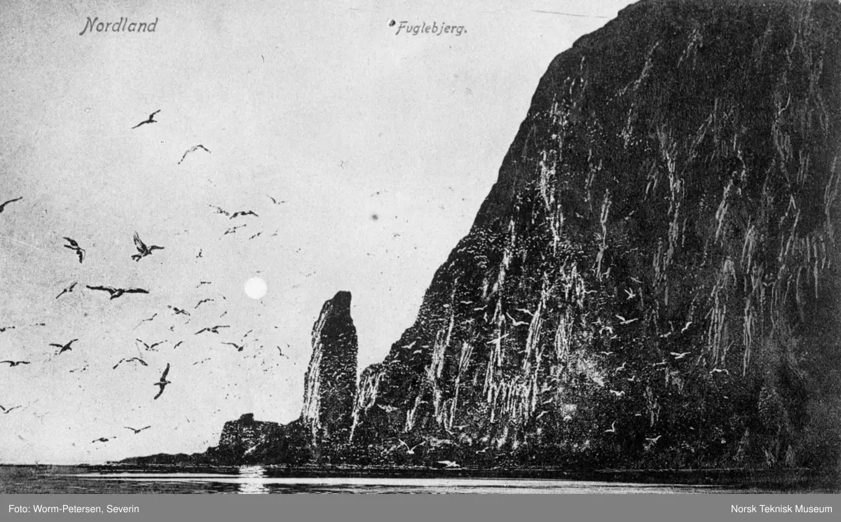 Fuglefjell, Nord-Norge