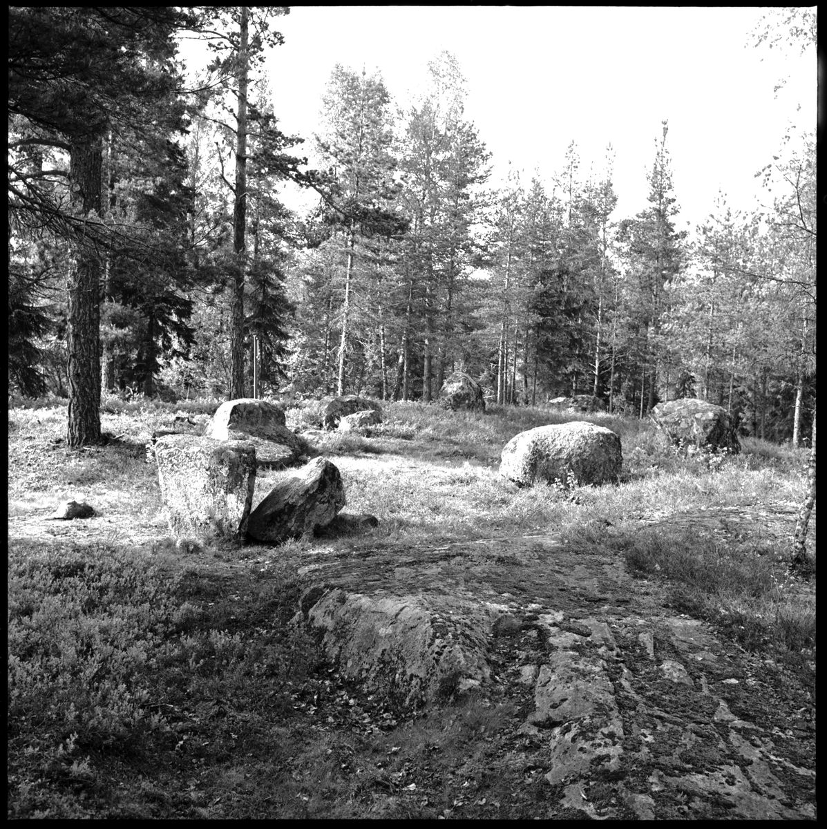 Skeppsättning.  Vammen  Steneby