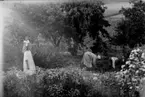 Lingonplockning, en kvinna och två barn.
Ingrid, Sven och Hulda Lindskog.