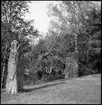 Vargön, Lilleskog, Lilleskogsvägen 48