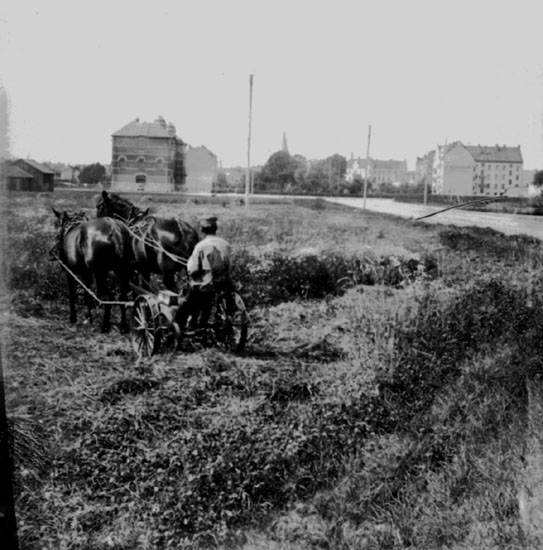 Risbergska skolan till vänster och bostadshus till höger. Nikolaikyrktorn skymtar i bakgrunden. Plogning i åkrar på öster.