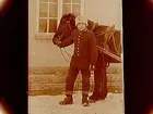 En soldat med häst.
205/2 Johnström, I.10.
Grenadjärer, I3.