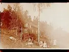 Sommarstugan Fridensborg, envånings sommarstuga med inredd vind och veranda. Fem barn och två vuxna framför stugan, 2 getter.
Fotograf Sam Lindskog