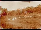 Sommarstugan Fridensborg, envånings sommarstuga med inredd vind och veranda åt vänster. Fem barn framför stugan.
Fotograf Sam Lindskog