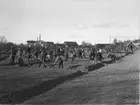 Alkärret, folkskolans trädgårdsland.
Skolelever och lärare.