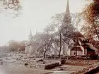 Varnhems klosterkyrka och ruiner.
Nr: 106.