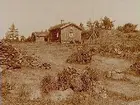 Naturbild.
Doktor Broddeson
Naturskyddsföreningen
(Två bilder på samma glasplåt).