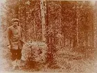 Naturbild, en man i skogen.
Naturskyddsföreningen.
Dr. Broddeson
Fyra bilder på samma glasplåt.