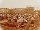 Engelbrektsskolan, trädgårdsskötsel.
Lärarinna fröken Zommarin, sal 24.
Lärarinna fru Vinström, sal 11.
Lärarinna fröken Blomkvist, sal 12.