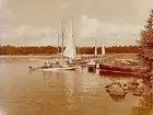 Segelbåtar och motorbåtar vid bryggan.
S.S.H:s Regata.