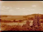 Utsikt över Sjön Lygnern och Dalboviken, från Fjärås, den så kallade Schweizerdalen.
Nr: 96.