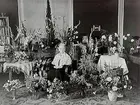 Fru Anna Örströms 90 årsdag.
Rumsinteriör, en kvinna.