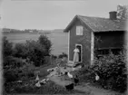 Sommarstuga, en kvinna och en liten flicka framför stugan.
Höns och kycklingar.
Utsikt.
Hulda Lindskog och dottern Ingrid.