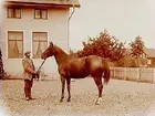 Man med häst.
Handl. J.E. Öholm