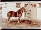Man med häst.
Handl. J.E. Öholm