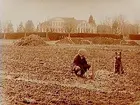 Älgskogens gård, täckdikning, en man och hans hund på åkern.
En och en halvvånings bostadshus med frontespis.
Jordbrukskonsulent H. Flodkvist, Örebro.