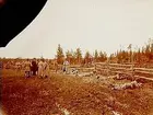 Regemente, Landstormen.
Landstormstävlingar i Åsbro.
Skjutstation, fem skyttar och åskådare.