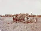 En och en halvvånings bostadshus med ekonomibyggnad. Höbärgning, två hästar spända för höskrinda. 4 vuxna och ett litet barn vid höhässjan. 
Andersson