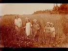 Barnen Lindskog, fem barn.
Sam Lindskogs familjebild.