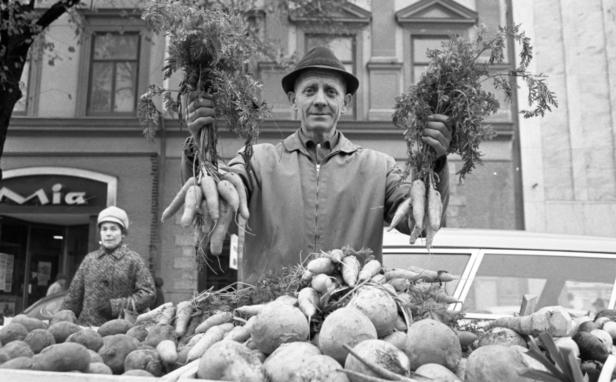 Grönsaker 15 oktober 1966.
Stortorget. 
Mannen på bilden är trädgårdsmästare Helge Hagenryd, med trädgård i Adolfsberg.