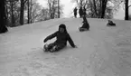 Barnträdgård, Tefat är toppen 30 januari 1967

Barn åker tefat i pulkabacken i Stadsparken. Bakom dem står det fyra kvinnor.