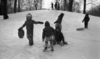 Barnträdgård, Tefat är toppen 30 januari 1967

En pojke i rutiga galonbyxor och jacka med luva står i pulkabacken i Stadsparken och håller i ett snöre till pulkan.
Längst upp i backen står en kvinna i kappa och vita stövlar.