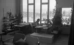 Konstig konst 16 december 1966

En arkitekt sitter och ritar vid ett bord inne på ett kontor. Han är klädd i en vit skjorta, svart slips och svarta byxor. På en hylla i bakgrunden står två tavlor lutade mot väggen.