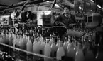 Kopparbergs bryggeri 1 18 februari 1967

En industriarbetare- en kvinna-  klädd i arbetskläder arbetar vid det löpande bandet inne i Kopparbergs bryggeri. Läskedrycksflaskor syns i förgrunden.