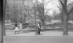 Orubricerat 11 maj 1965

Arbetsklädd man på Engelbrektsgatan med Örebro slott i bakgrunden.
Renovering slottsparken.