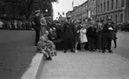 Kungen vid Nikolaikyrkan 5 juni 1965