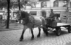 Hästar i stan, 8 juli 1965.

Man kör häst och vagn genom centrala stan.