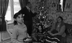 Hemma hos Karasko, 24 december 1965

Familjen Karasko bestående av mor, far och två döttrar firar jul. De är en romsk familj. Modern är klädd i traditionell romsk dräkt. De befinner sig i sitt vardagsrum. Far i huset står upp och håller sin vänstra hand på den dekorerade julgranen. Modern sitter i soffan med en nätförpackning med frukt i knät. På golvet sitter den ena dottern med en nötknäckare i handen. Den andra dottern sitter närmast kameran med en skål fylld med nötter och andra godsaker.