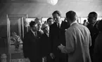 Vinet skall, 3 augusti 1965

Italienska utställningen i Medborgarhuset med bl. a. landshövdingen Valter Åman och Viterbos borgmästare Luigi Crescia. En samling herrar står i utställningslokalen och beser antika föremål med knytning till vinhantering från gamla Etrurien.