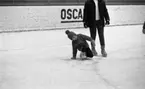 Skridskoskola, 17 januari 1966

Vinterstadion