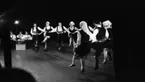 Jugoslaviska dansare, 23 mars 1966

Dalmatien, region i Kroatien, dalmatisk folkdans