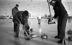 Curling på Vinterstadion, 11 februari 1965.

Män spelar curling.