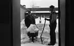 Skottar sig genom huset, 22 februari 1966

Länsmuseet