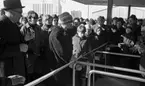 Domus Stormarknad invigning
24 februari 1965