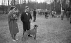 Hunddressyr kurs 22 april 1965