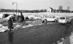 Snömodd och översvämning bland annat i Varberga 1 februari 1966

Bil, traktor och kvinna i vattensamling på vintrig gata
