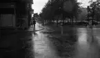 Regn 28 juni 1966

Järntorget