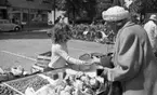 Torgrond 1 juli 1966

Stortorget