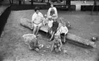 Barn i Stadsparken, Länet runt 2 augusti 1967