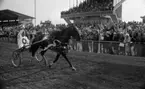 Travet Juliloppet 10 juli 1967