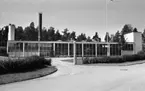 Återförenas 27 juli 1967