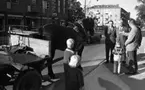 Bråk på Storgatan. Datum: 5 oktober 1967.
Rubrik till artikeln: 