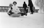 Ånnaboda, fotojobb (?), arbetarkommun 70 år 12 februari 1968

Närbild på två barn i sex- eller sjuårsåldern som sitter tillsammans i en pulka och åker utför en backe i Ånnaboda. Barnet som sitter främst i pulkan är klädd i en vit jacka, mörk mössa, vita vantar, svarta byxor och svarta pjäxor. Barnet som sitter baktill i pulkan ser man bara huvudet på och det är klätt i en vit mössa och har en vit luva över mössan samt bär glasögon.