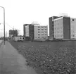 Byggnummer.
29 oktober 1959.
Bilden tagen från Rudbecksgatan. Huset till höger har adressen Sveavägen 2.