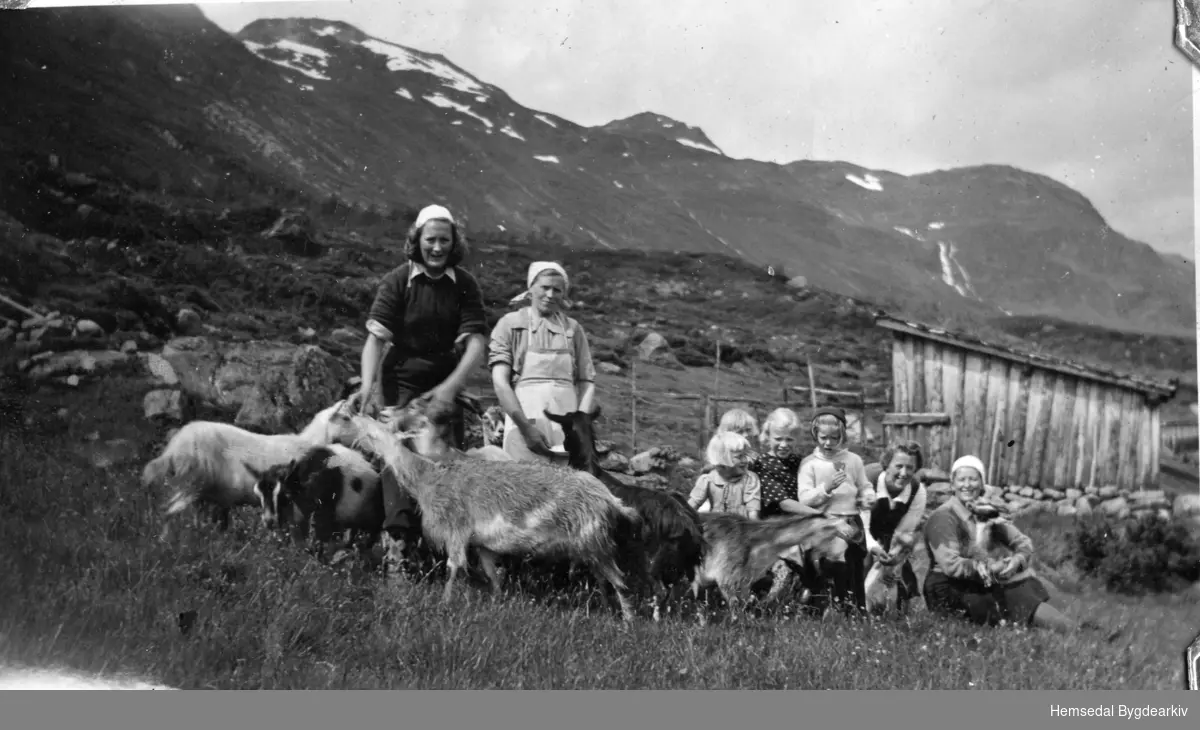 Frå nr. 2 frå venstre: Sigrid Haugen (1891-1958), fødd Hulbak; deretter døtrene: Ingrid, fødd 134; Borhild, fødd 1932 og Karoline, fødd 1927. Dei andre er alle byfolk. Biletet er teke på Heggeslettene (Heggjislettat'n) i Hemsedal, ca. 1939