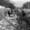 Solaltanen i Centralparken.
23 februari 1955